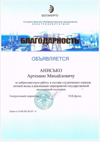 Благодарность Анисько 